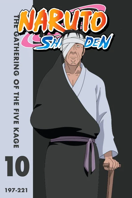 Naruto Shippūden — Season 10