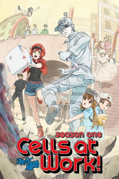 Cells at Work! — Season 1
