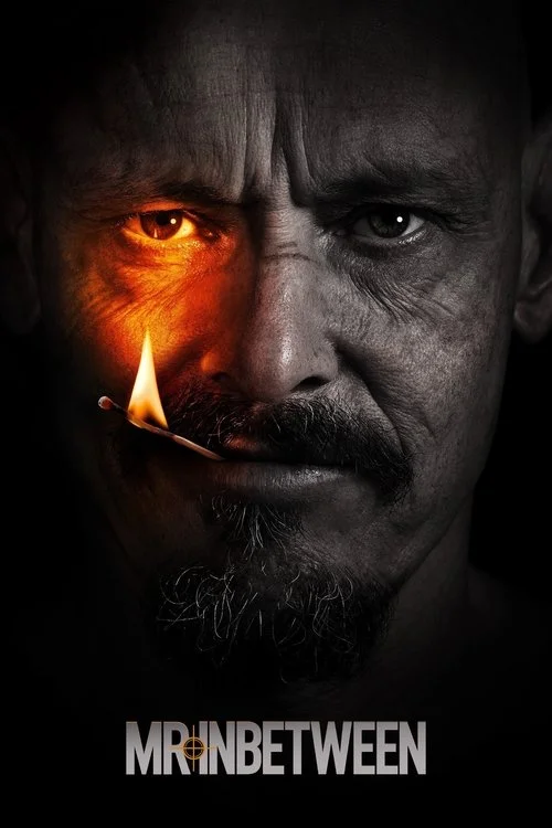 Mr Inbetween — Season 3