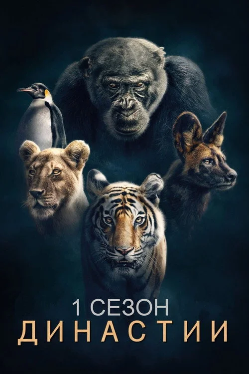 Династии — сезон 1
