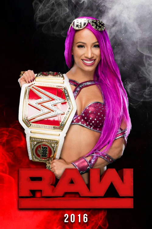 WWE RAW — сезон 24
