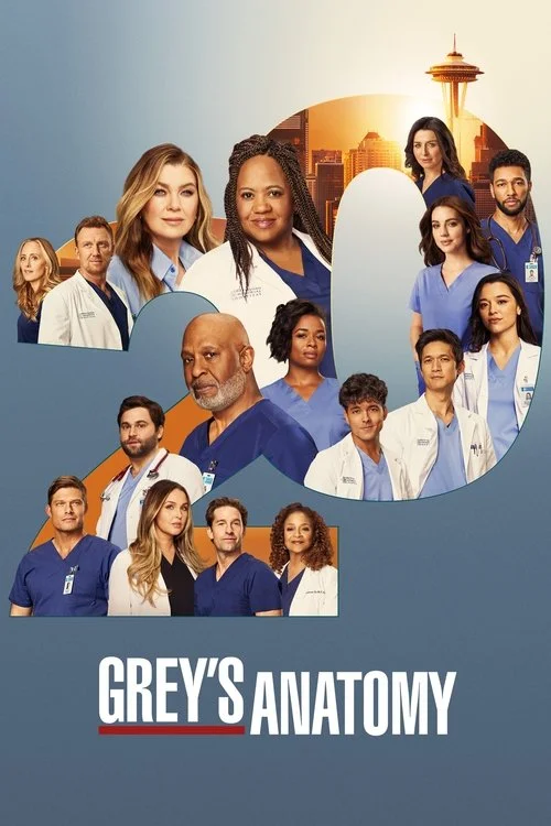 Grey's Anatomy — Season 20