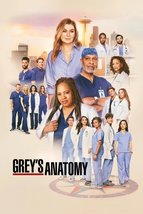Grey's Anatomy — Season 21