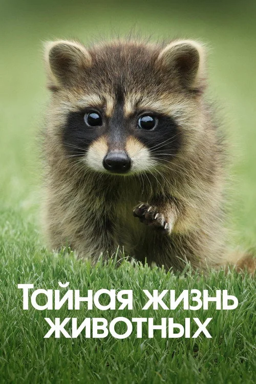 Тайная жизнь животных — сезон 1