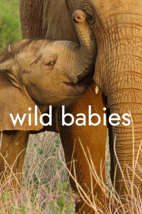 Wild Babies — сезон 1