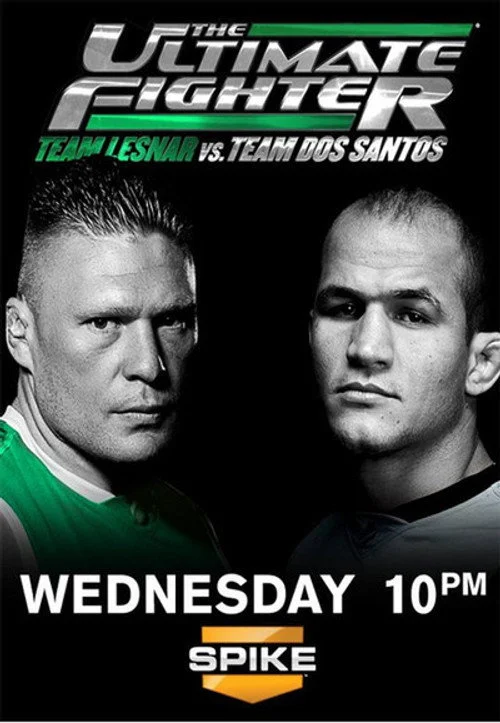 The Ultimate Fighter — сезон 13