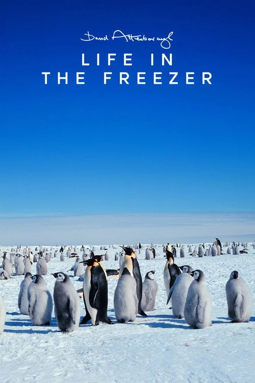 Life in the Freezer — сезон 1