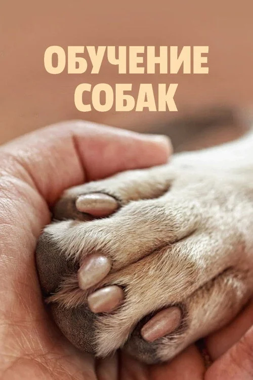 Обучение собак — сезон 1