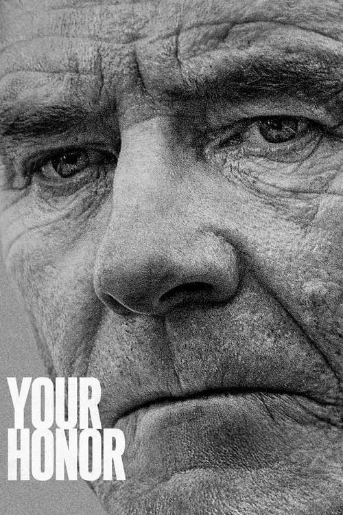 Your Honor — Season 1