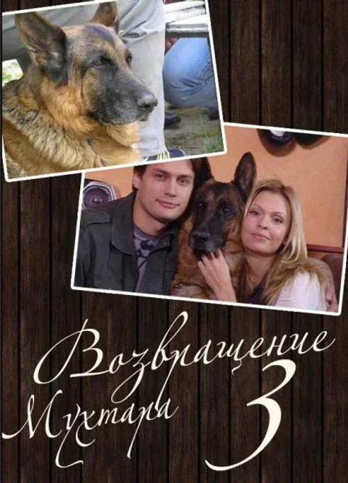 Возвращение Мухтара — сезон 3