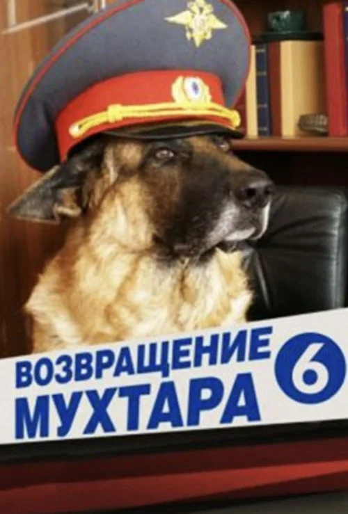 Возвращение Мухтара — сезон 6