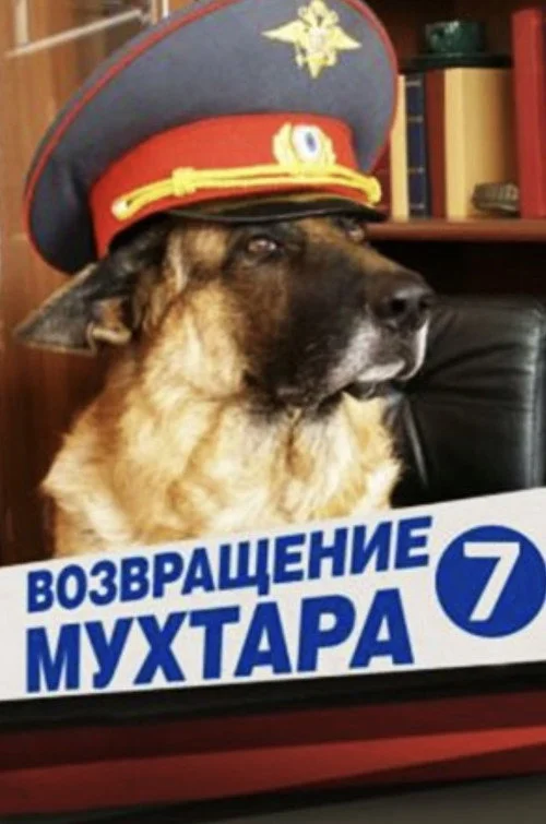 Возвращение Мухтара — сезон 7