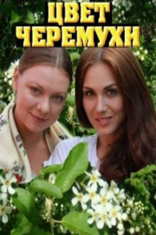 Цвет черёмухи — сезон 1