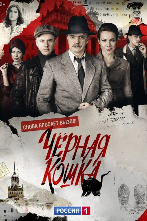 Чёрная кошка — сезон 1