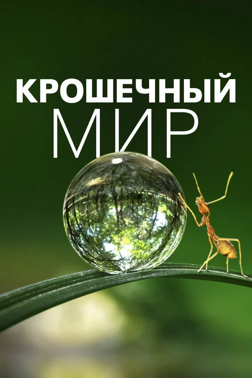 Крошечный мир — сезон 1
