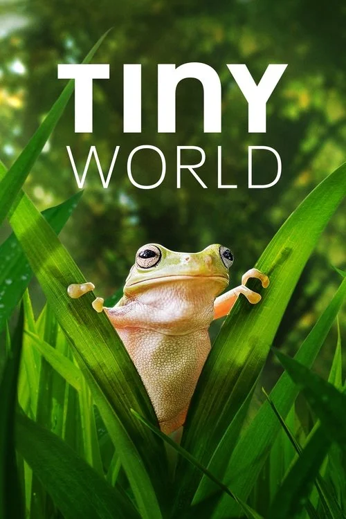 Tiny World — Season 2