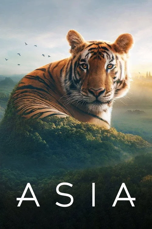 Asia — сезон 1