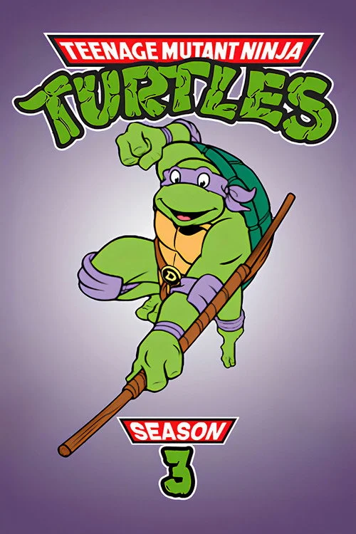 Teenage Mutant Ninja Turtles — Season 3