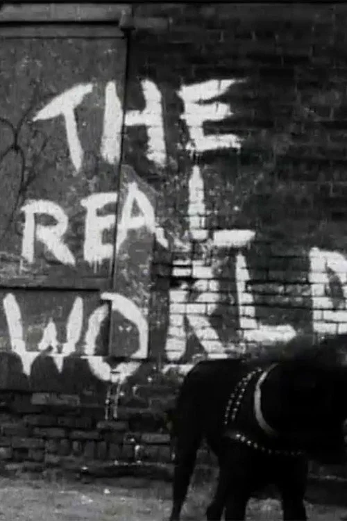 The Real World — сезон 1