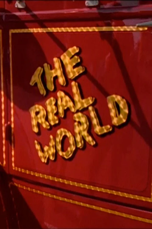 The Real World — сезон 6