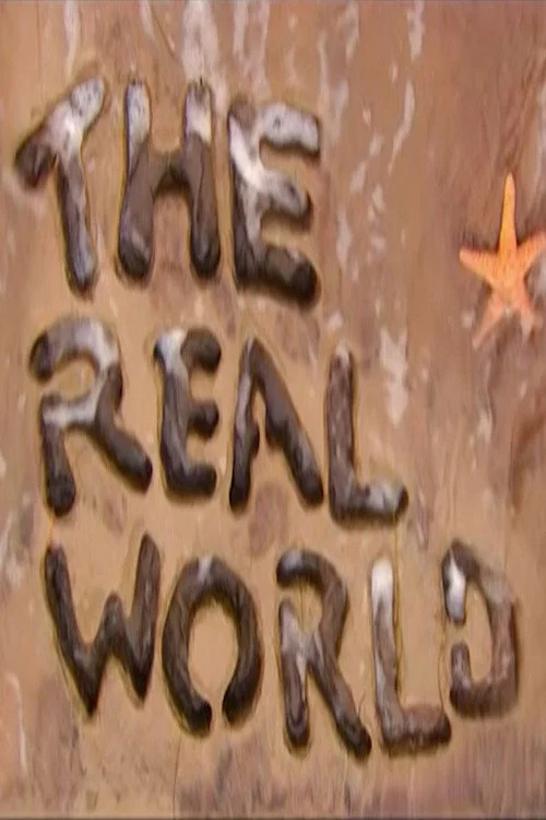 The Real World — сезон 14