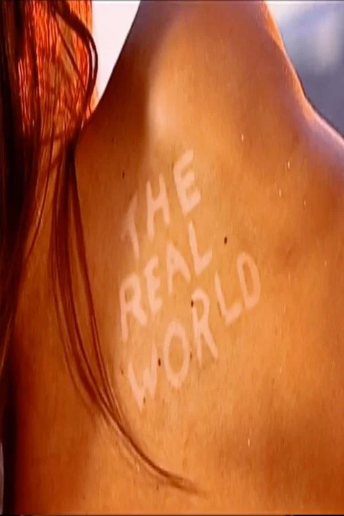 The Real World — сезон 17