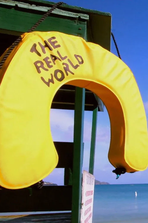 The Real World — сезон 27