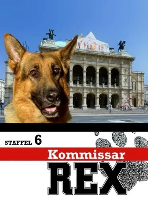 Комиссар Рекс — сезон 6