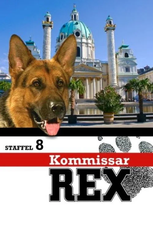 Комиссар Рекс — сезон 8
