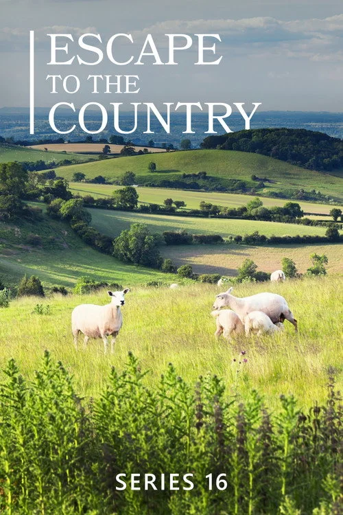 Escape to the Country — сезон 15
