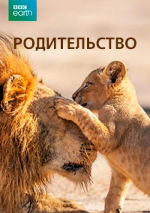 Родительство — сезон 1