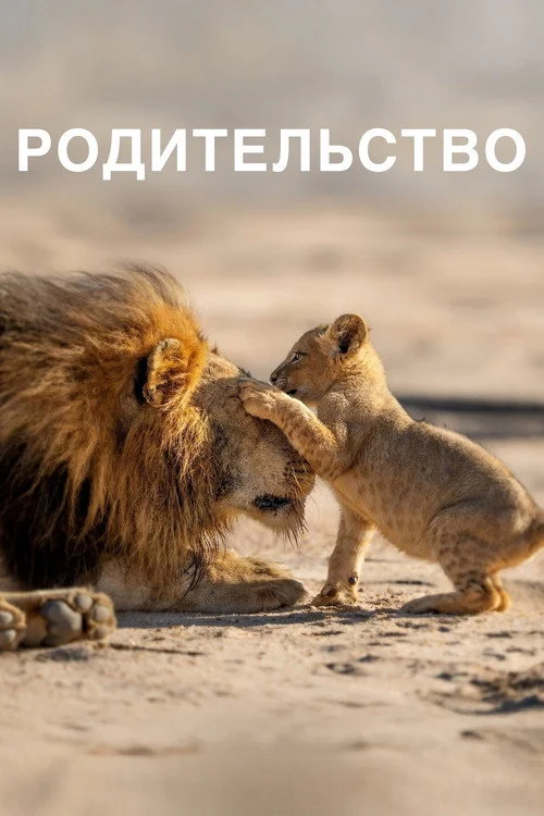 Родительство