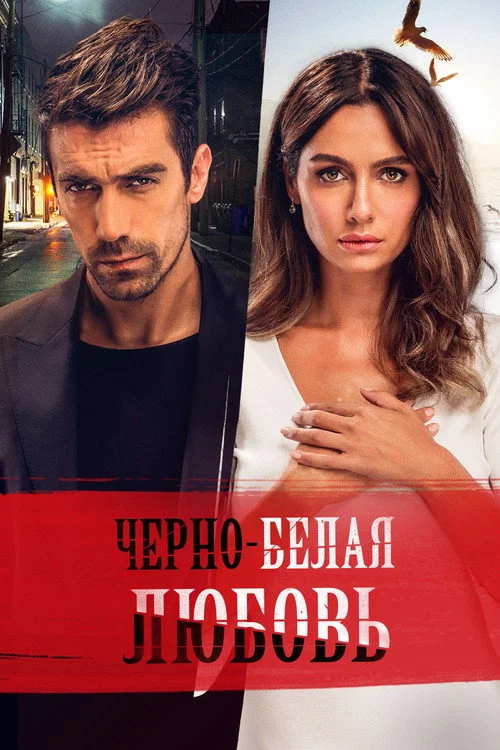 Чёрно-белая любовь